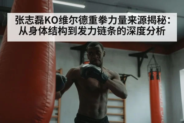 张志磊KO维尔德重拳力量来源揭秘：从身体结构到发力链条的深度分析